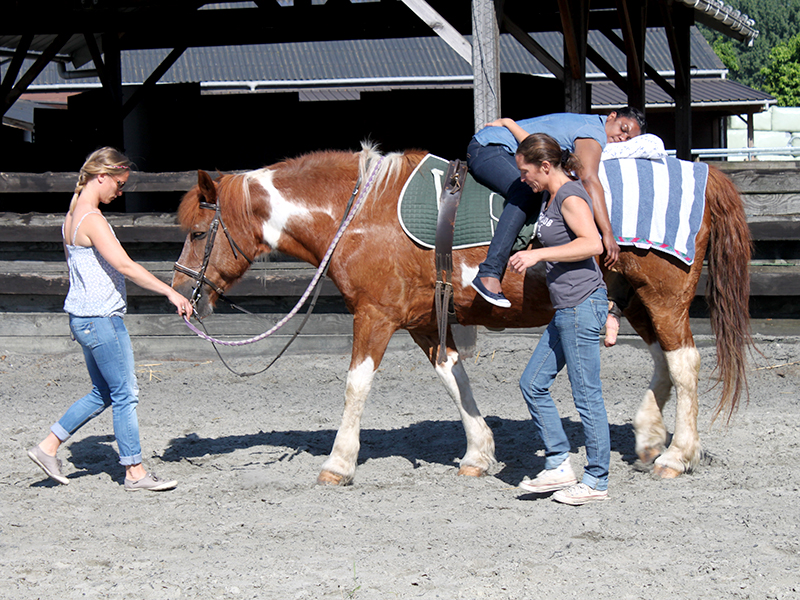 haras cazeau