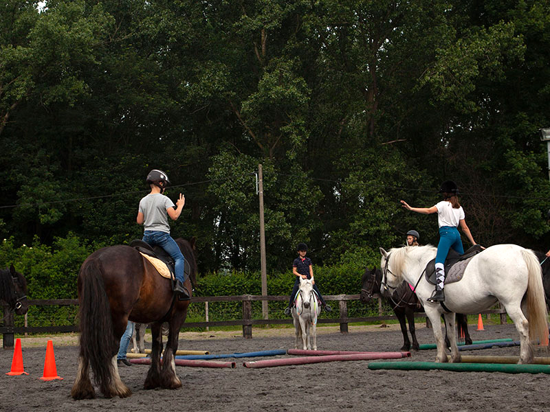 haras cazeau